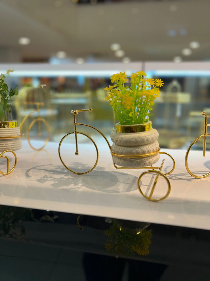 Minimalist Cycle Decor - Dukaanwali